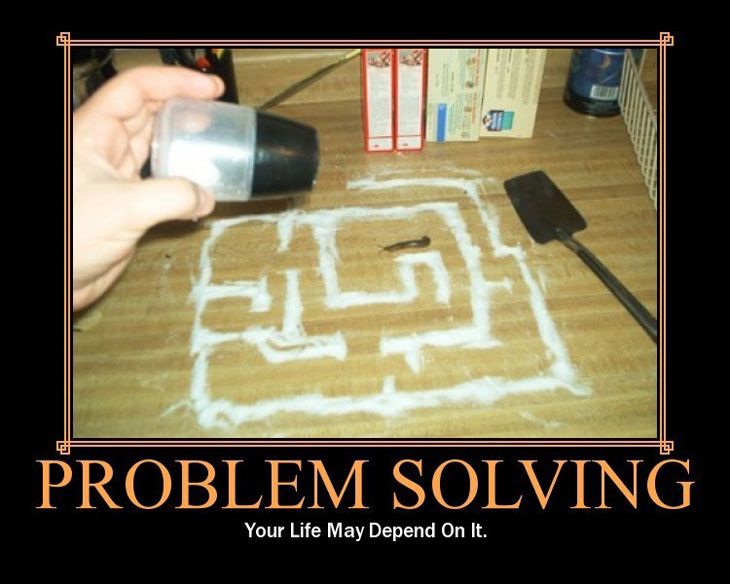 Problem Solving Intelligence