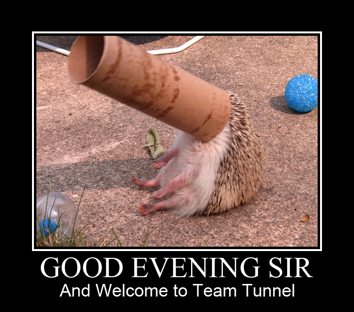 Welcome to Team Tunnel