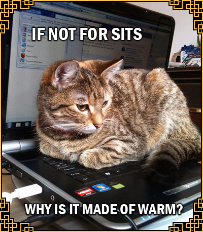 If Not For Sits